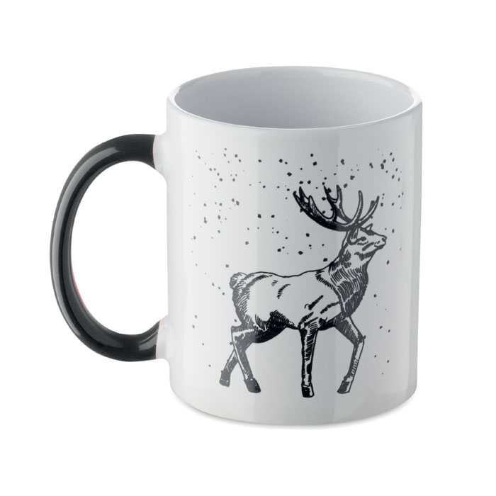 FESTIMUG